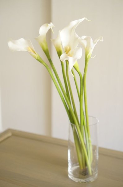 画像2: 【造花】カラー（ホワイト）　53cm7本セット (2)