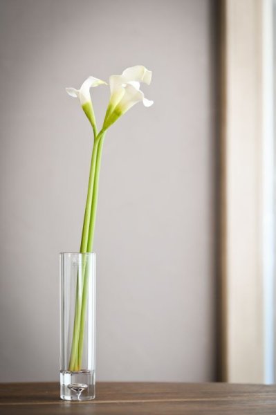 画像1: 【造花】カラー（ホワイト）　53cm3本セット (1)