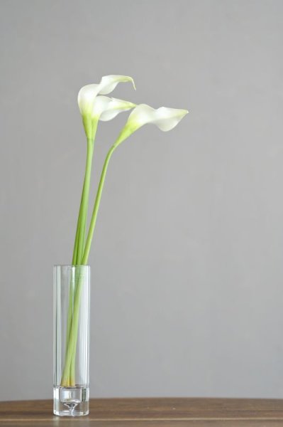 画像1: クリスタルガラスのような特殊なプラスチックの花瓶（0624) (1)