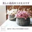 画像3: 【造花】コスモスのアレンジメント（２色展開） (3)