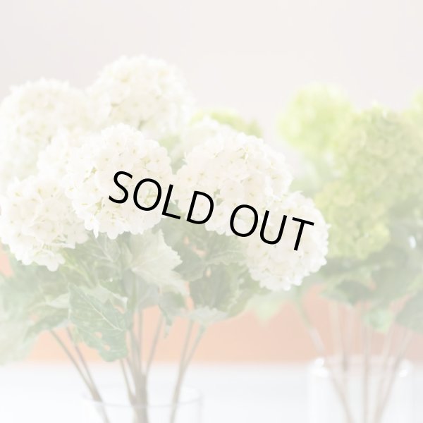 画像2: 【造花】スノーボール（ホワイト / グリーン）　45cm5本セット (2)