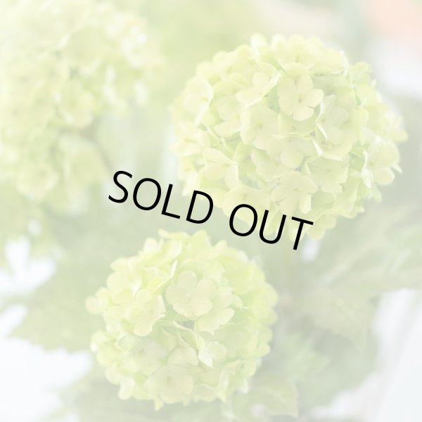 画像3: 【造花】スノーボール（ホワイト / グリーン）　45cm5本セット (3)