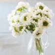 画像2: 【造花】フリンジスカビオサ（ホワイト）15本セット (2)