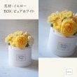 画像3: 【Salon d’or】Welcome Baby BOXダイパーケーキ（エレガントラナンキュラス）（４パターン展開） (3)