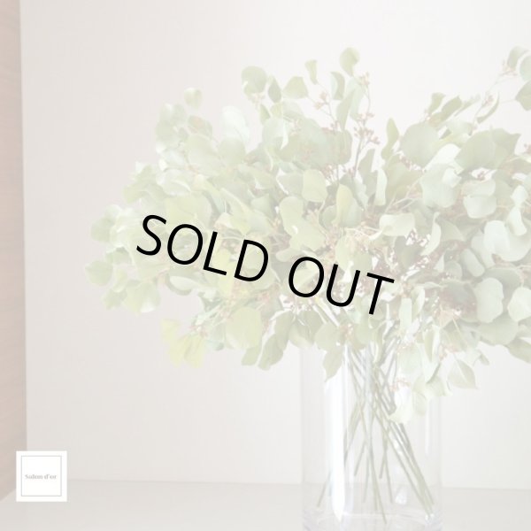 画像2: 【造花】ユーカリ（スモーキーグリーン・68cm・14本セット） (2)