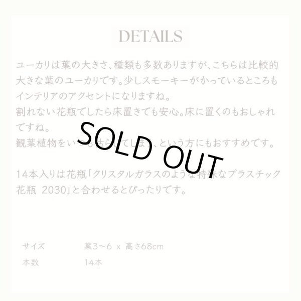 画像7: 【造花】ユーカリ（スモーキーグリーン・68cm・14本セット） (7)