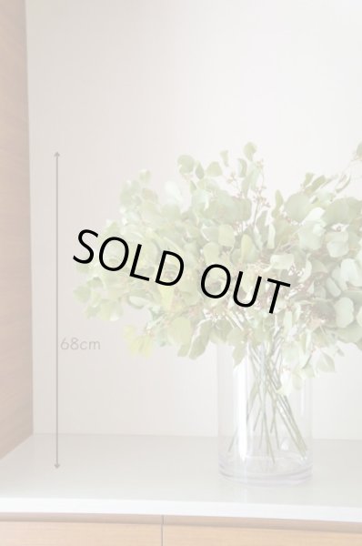 画像5: 【造花】ユーカリ（スモーキーグリーン・68cm・14本セット） (5)