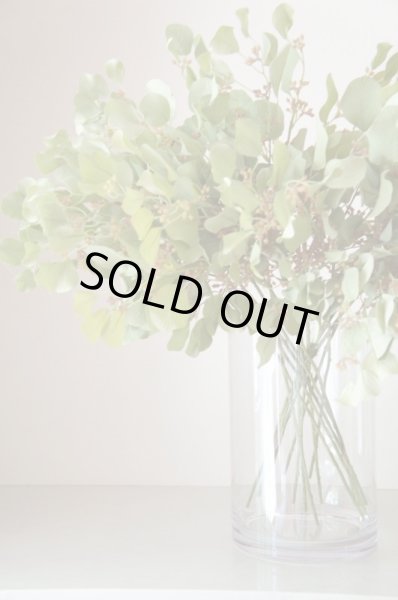 画像3: 【造花】ユーカリ（スモーキーグリーン・68cm・14本セット） (3)