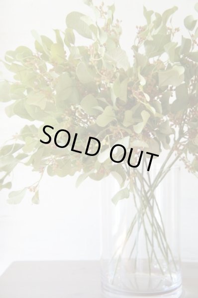 画像4: 【造花】ユーカリ（スモーキーグリーン・68cm・14本セット） (4)