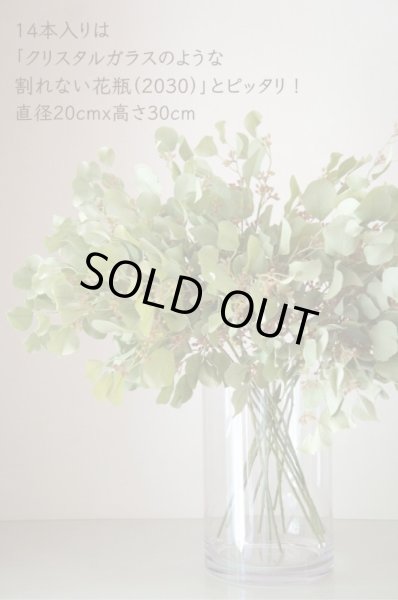 画像6: 【造花】ユーカリ（スモーキーグリーン・68cm・14本セット） (6)