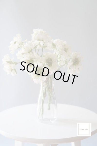 画像2: クリスタルガラスのようなカラフェ型の花瓶（Sサイズ） (2)