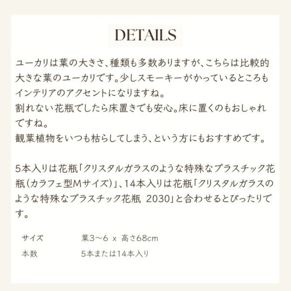 画像5: 【造花】ユーカリ（スモーキーグリーン・68cm・5本セット） (5)