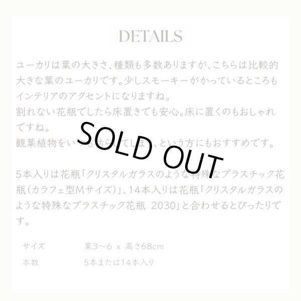 画像5: 【造花】ユーカリ（スモーキーグリーン・68cm・5本セット） (5)