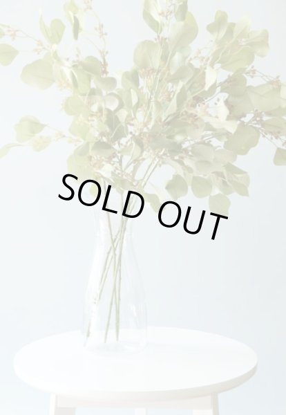 画像2: 【造花】ユーカリ（スモーキーグリーン・68cm・5本セット） (2)