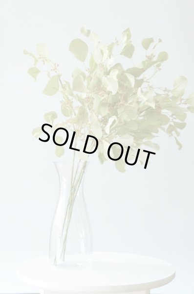 画像1: 【造花】ユーカリ（スモーキーグリーン・68cm・5本セット） (1)