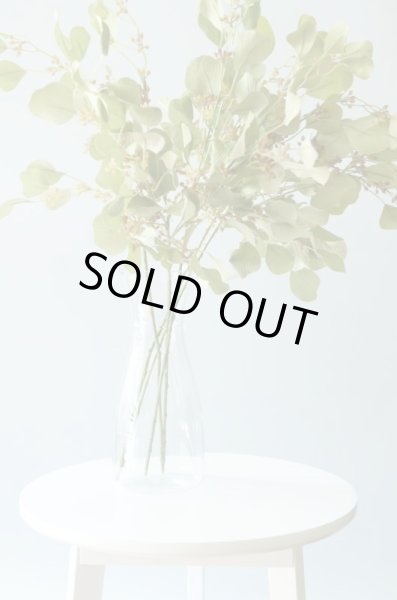 画像3: クリスタルガラスのようなカラフェ型の花瓶（Mサイズ) (3)