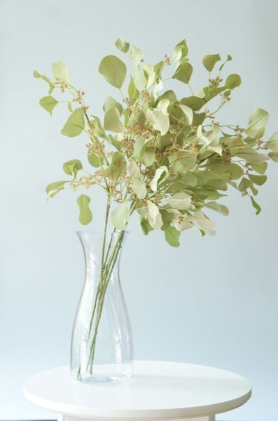 画像2: クリスタルガラスのようなカラフェ型の花瓶（Mサイズ) (2)