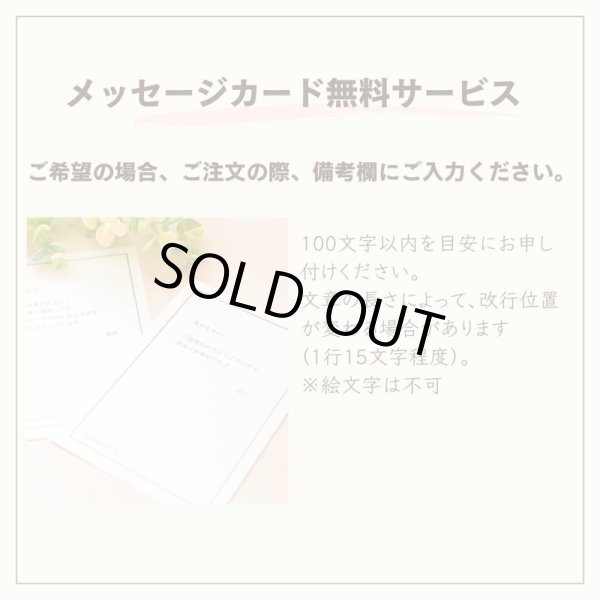 画像5: 【Done by Deer】プルトイ Elphee(エルフィ) (5)