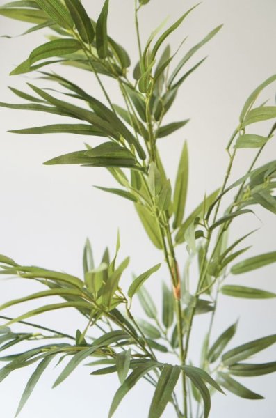 画像3: 【造花】バンブー（約82cm・1本） (3)