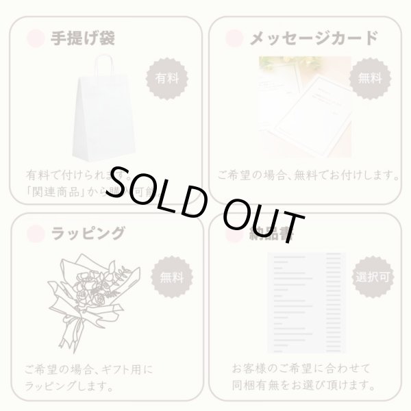 画像6: 【造花】スノーボール（ホワイト / グリーン）　45cm5本セット (6)