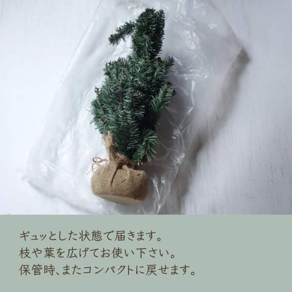 画像5: ナチュラル・クリスマスツリー （60cm） (5)