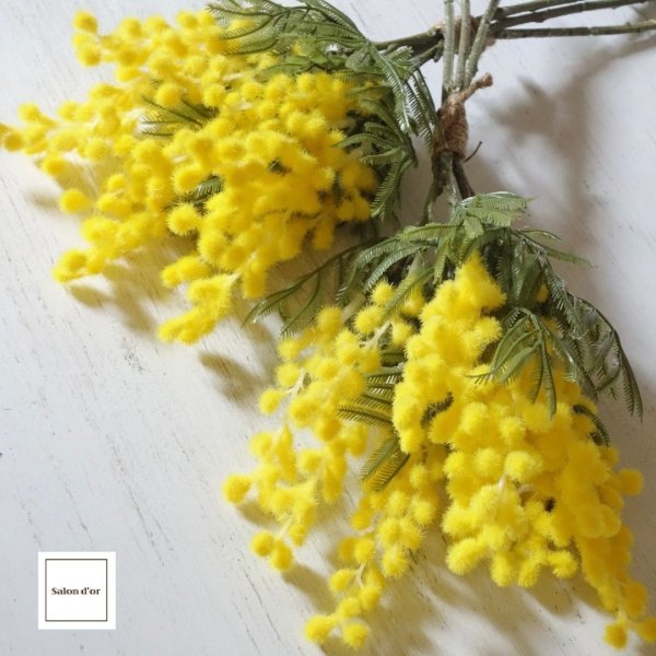 画像4: 【Thank you】【Happy Birthday】ミモザのブーケ (4)