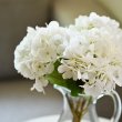 画像3: 【造花】秋色のあじさい（ホワイト）　33cm3本セット (3)