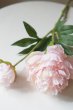 画像3: 【造花】ピオニー（芍薬） (3)