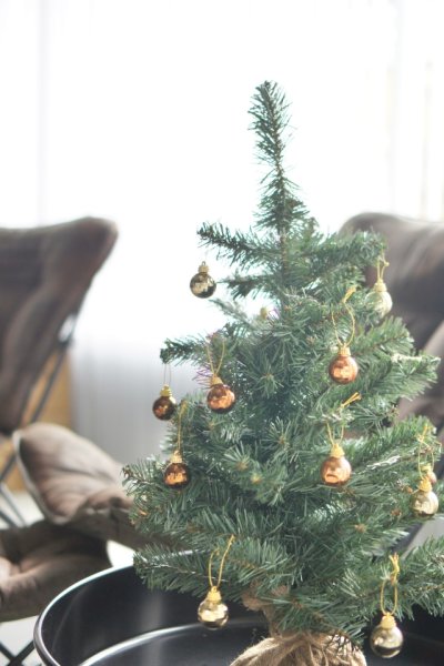 画像3: ナチュラル・クリスマスツリー （60cm） (3)