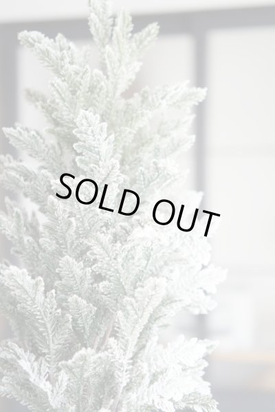 画像4: フロッキー スノー ツリー（65cm） (4)