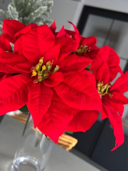 画像3: 【造花】ポインセチア (3)