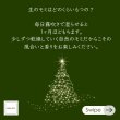 画像5: 2025クリスマスリース・しめ縄　レッスン（子連れ可）＆販売　 (5)