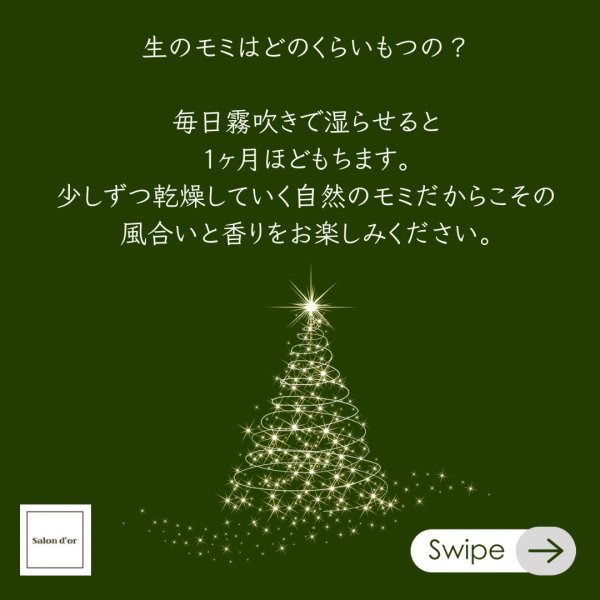 画像5: 2025クリスマスリース・しめ縄　レッスン（子連れ可）＆販売　 (5)