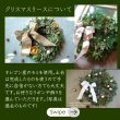画像3: 2025クリスマスリース・しめ縄　レッスン（子連れ可）＆販売　 (3)