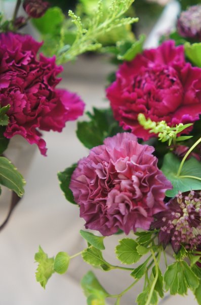 画像5: 5/8発送 　2026【生花】母の日 生花アレンジメント　Dramatic（ドラマティック）Sサイズ (5)