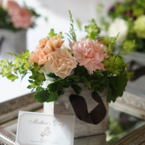 画像1: 5/8発送 　2026【生花】母の日 生花アレンジメント Graceful（グレースフル） Sサイズ (1)