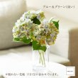 画像6: 【造花】ニュアンスあじさい（３色展開）　33cm3本セット (6)