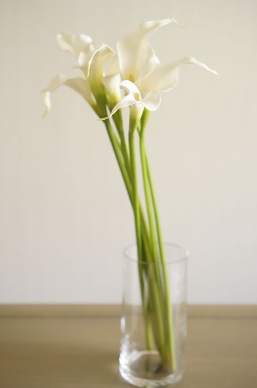 【造花】カラー（ホワイト）　53cm7本セット